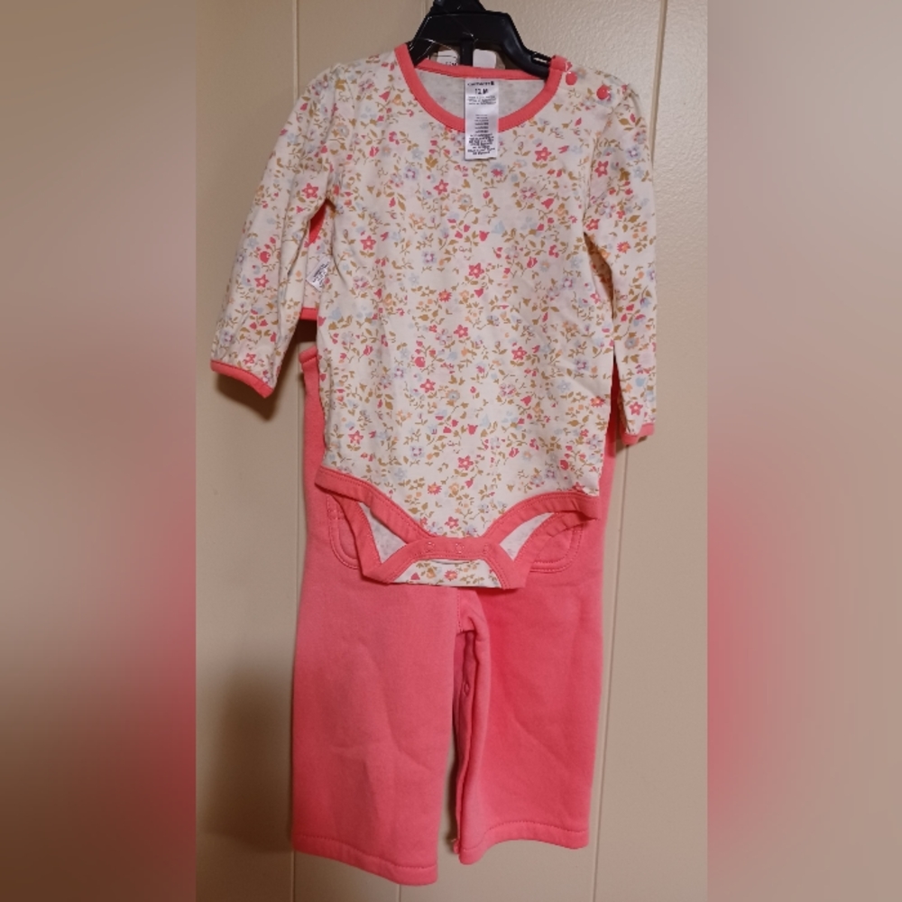 Carhartt 12 month outfit